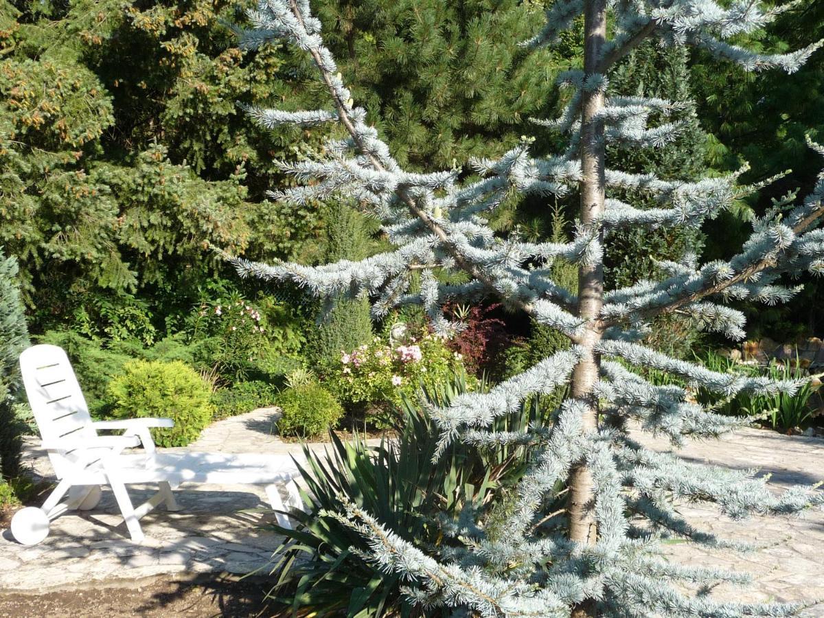 Balaton Art Guesthouse Balatonszemes Exterior foto