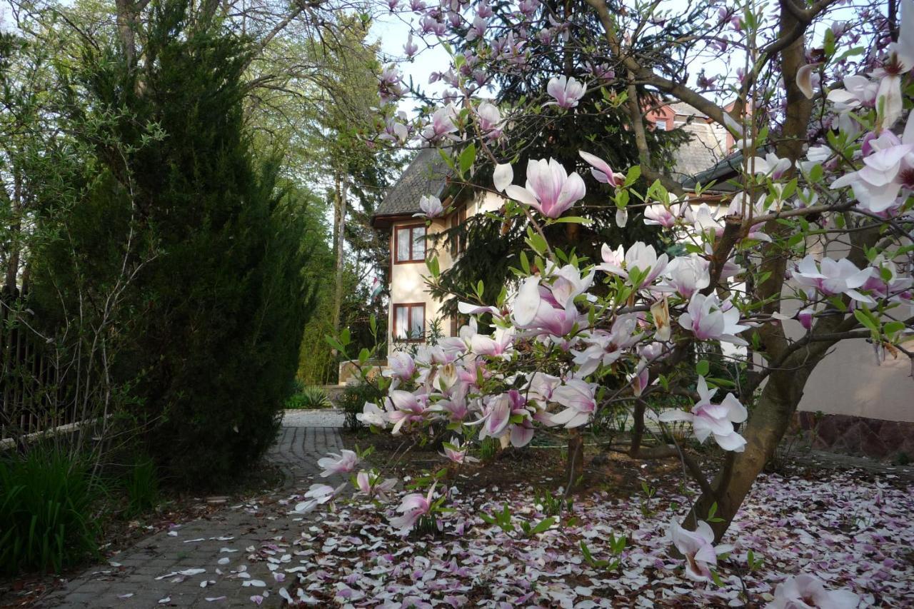 Balaton Art Guesthouse Balatonszemes Exterior foto